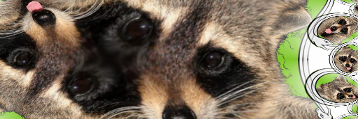 ♔ Double-Secret Probation Porphyrogenitus ♔ banner