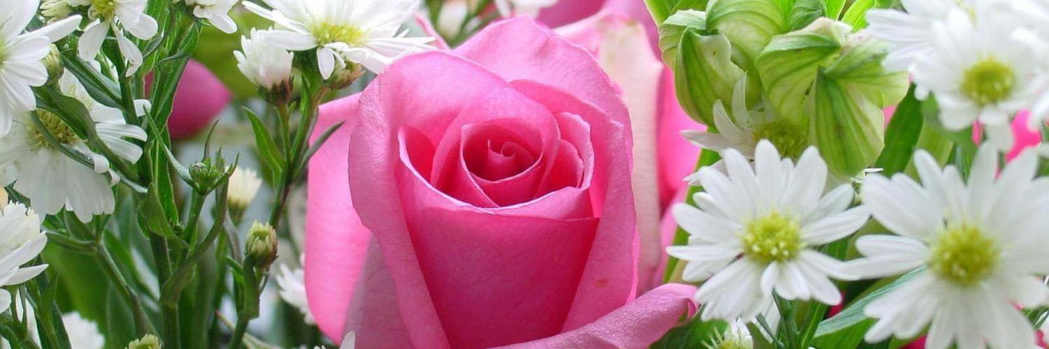 Dr. MOHAMED ELKATTAWY banner