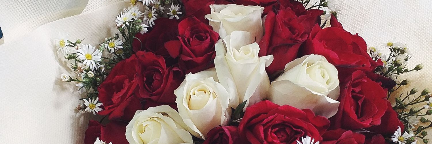 yulan_lstr's profile banner image