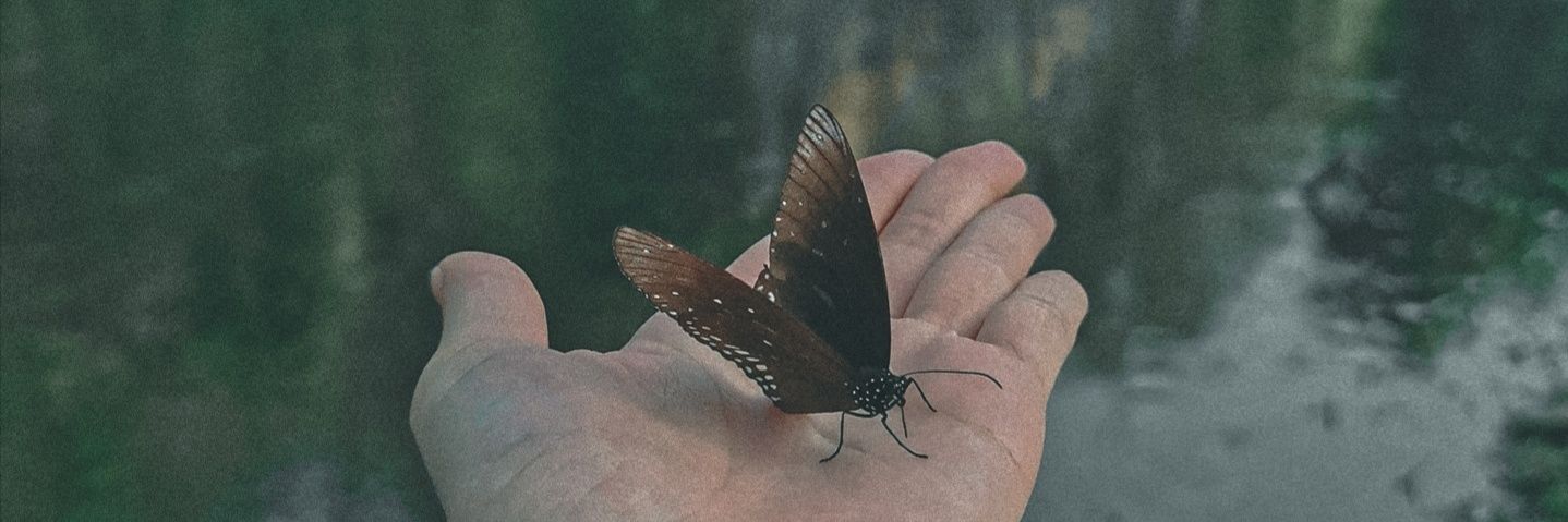 Mayyarvee's profile banner image