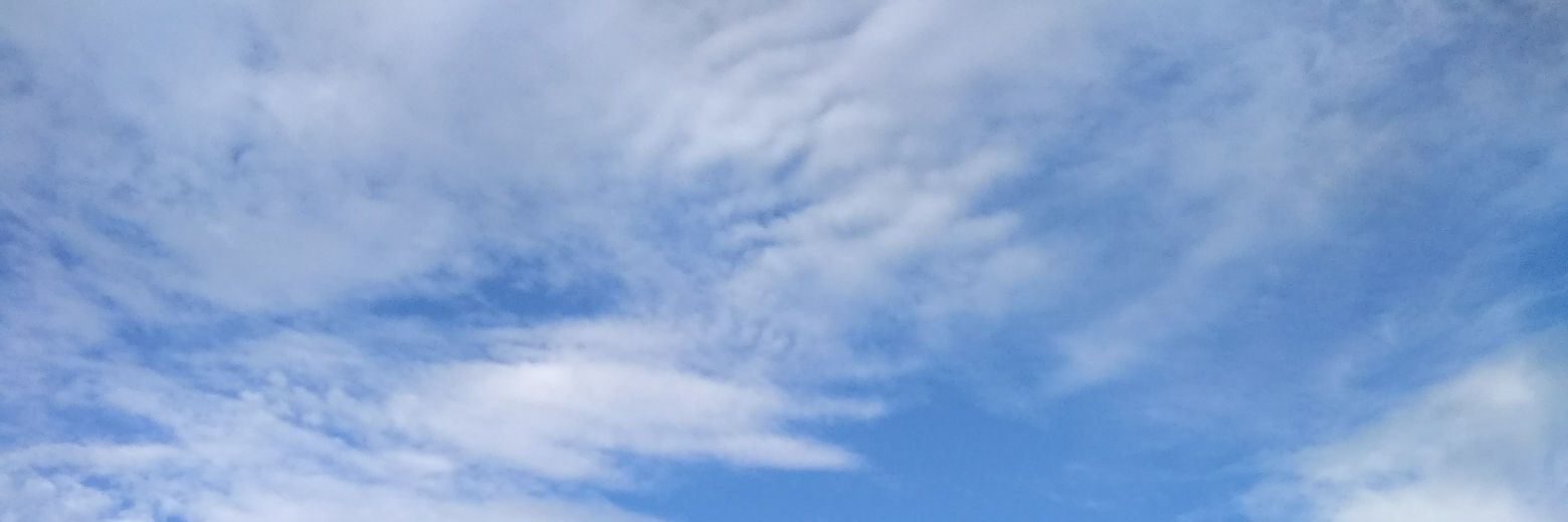 nifryh's profile banner image
