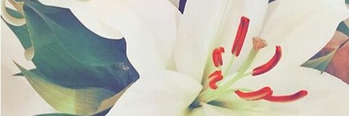 okysss's profile banner image