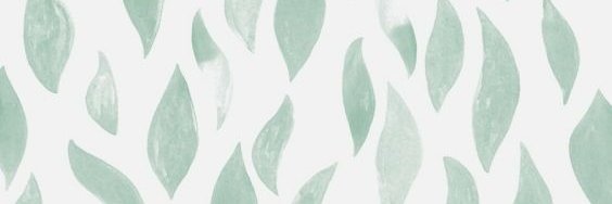 Jade B-W banner