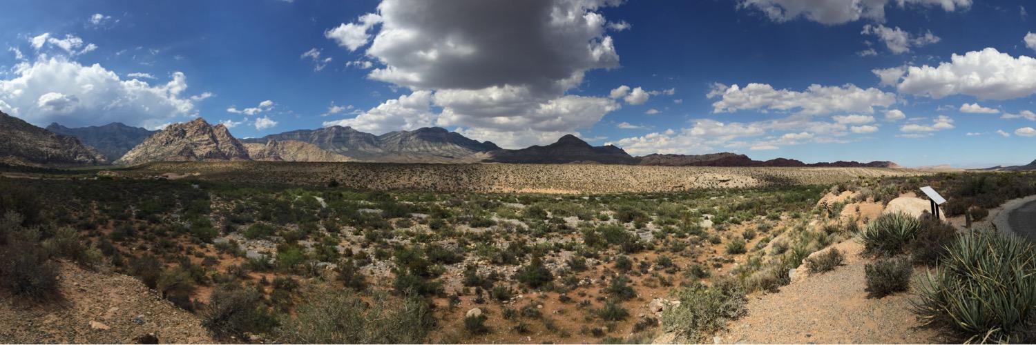 Mathias Simonis banner