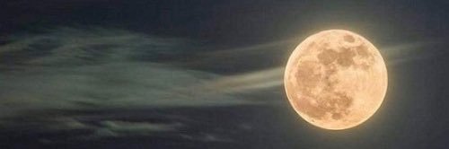 NineMol's profile banner image