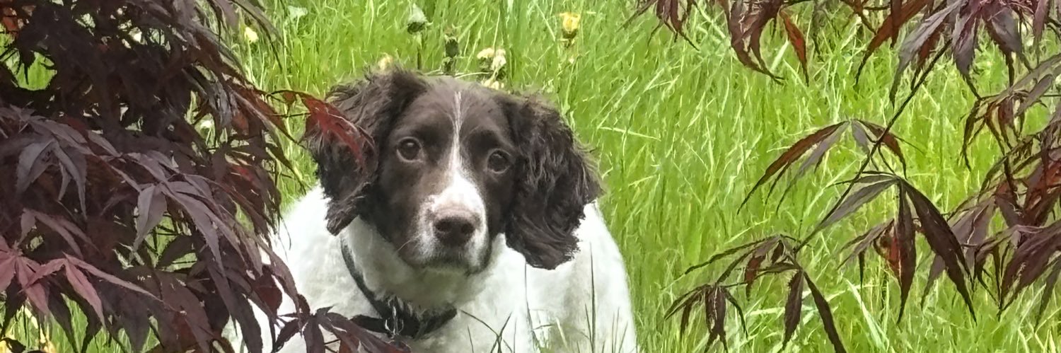 Tracy Felgate banner