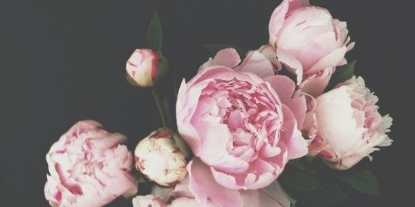 nsyhddh's profile banner image