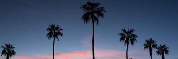 AlMaz23_'s profile banner image