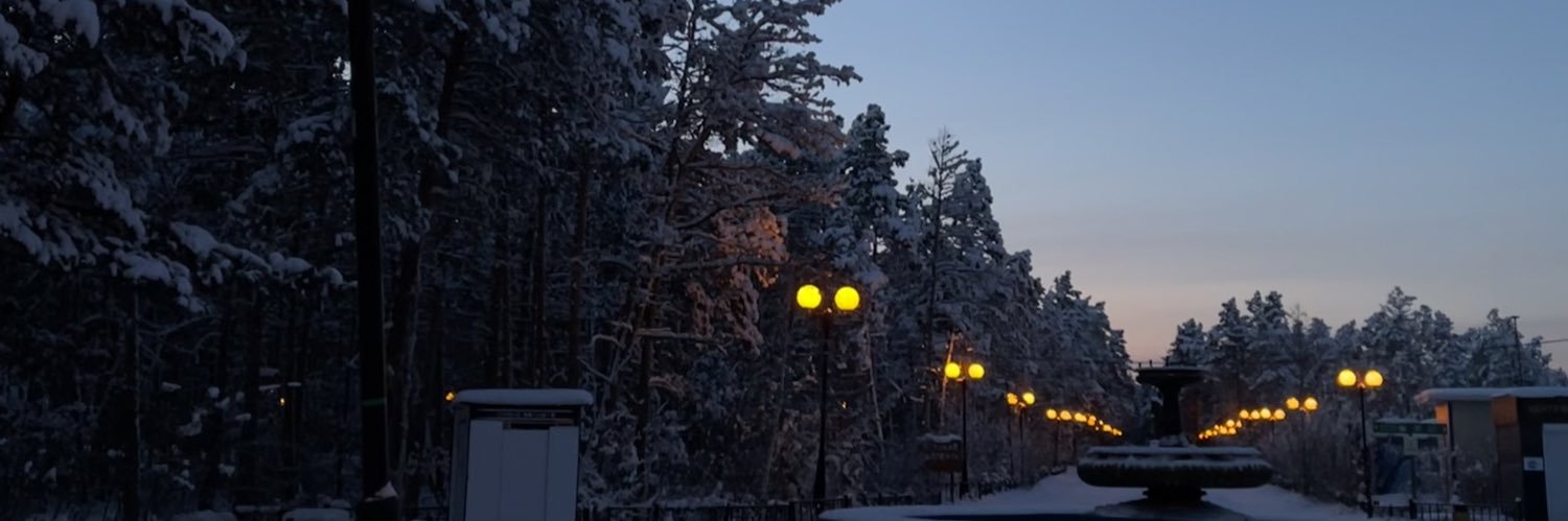 s_zyryanova's profile banner image