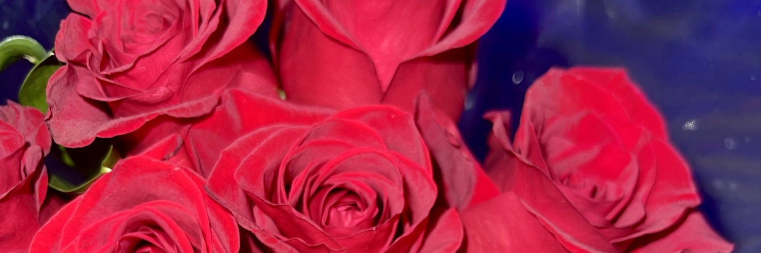 Pxandra_'s profile banner image