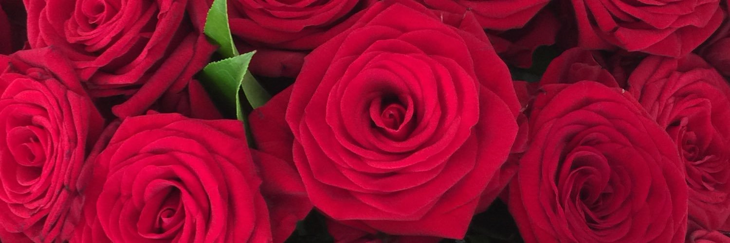 Alison909's profile banner image