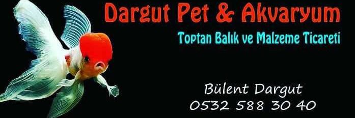 Bülent DARGUT banner