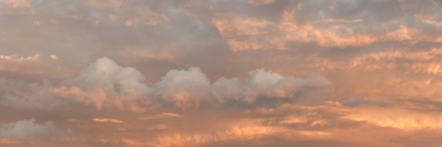 janeidihdz's profile banner image