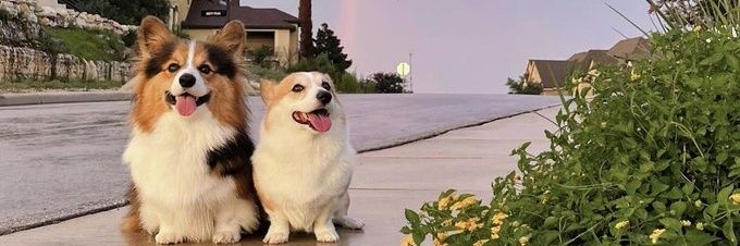 Lucas_Vaz_'s profile banner image