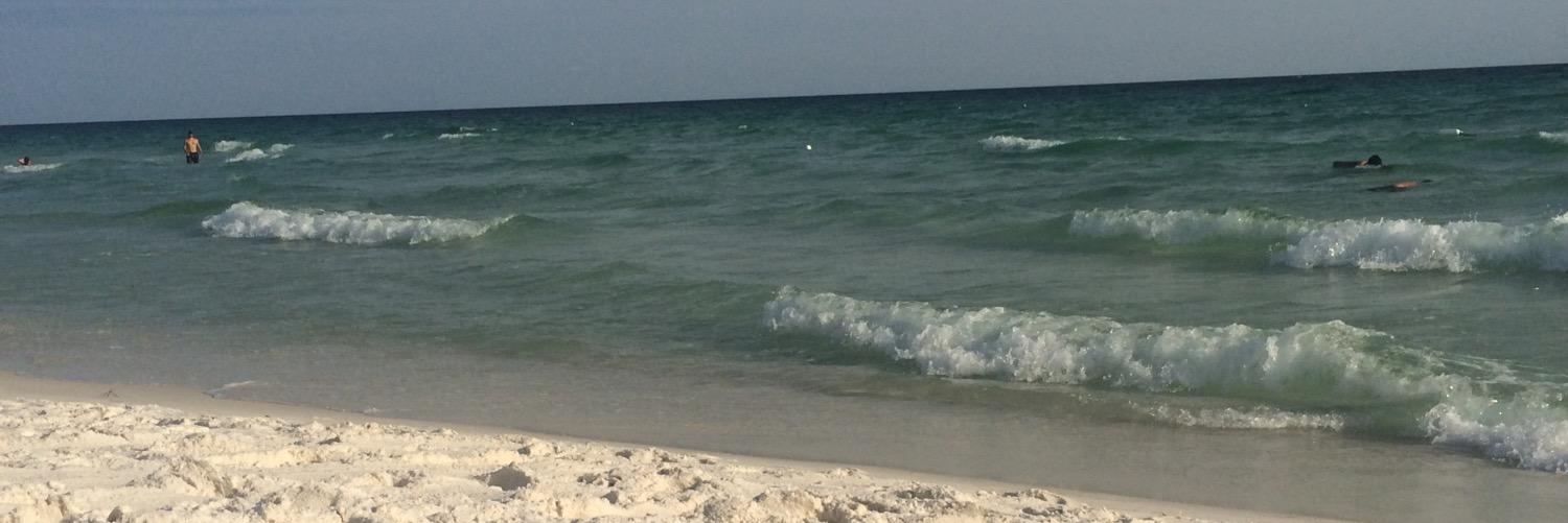 ally_pepper's profile banner image