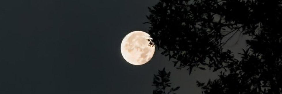 Muhammeed91's profile banner image