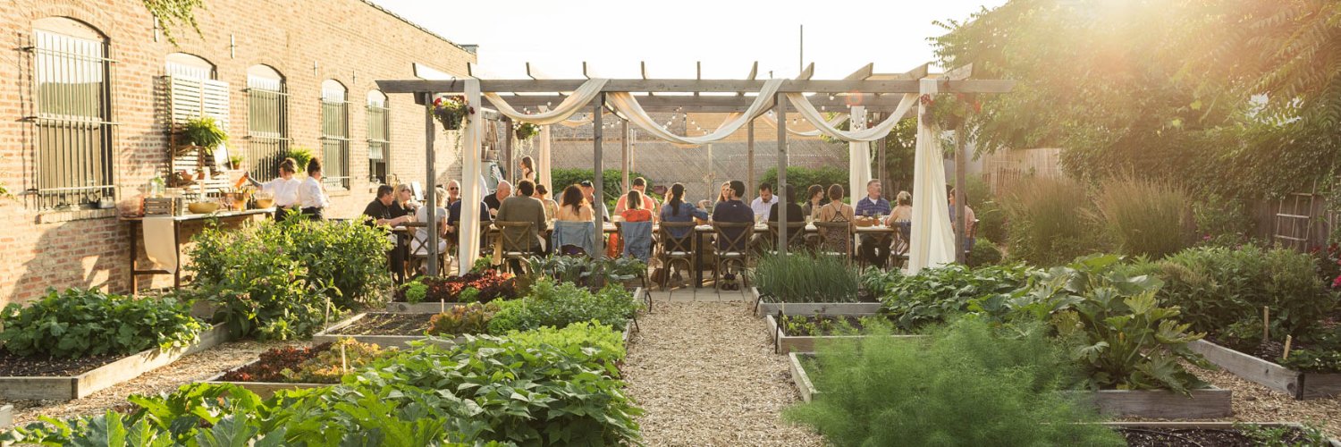 Big Delicious Planet banner