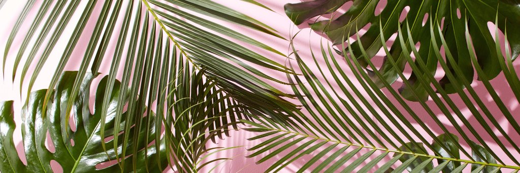 byhannahcollins's profile banner image