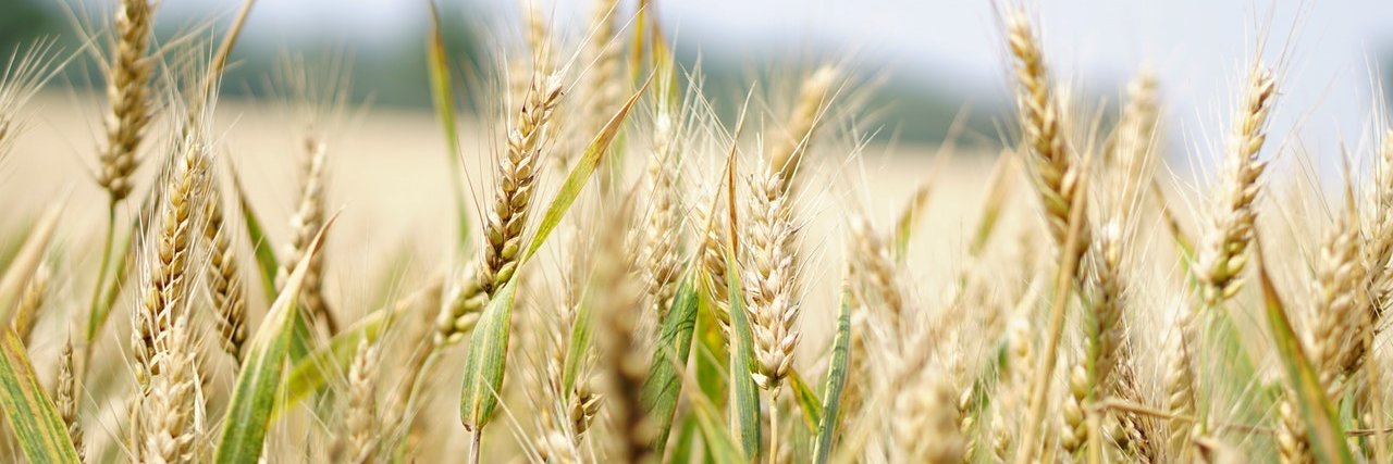 C_AgroParisTech's profile banner image