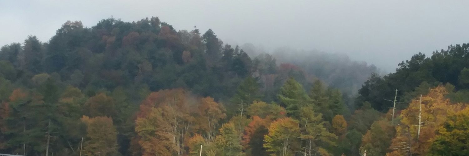 violetj1468's profile banner image