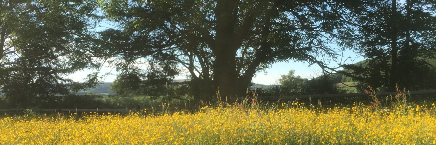 susans2m's profile banner image