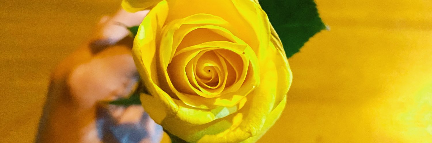 elizandrct's profile banner image