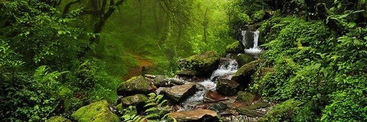 GewoonChriz's profile banner image