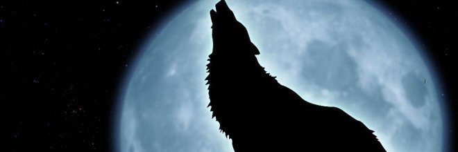 42ase53's profile banner image