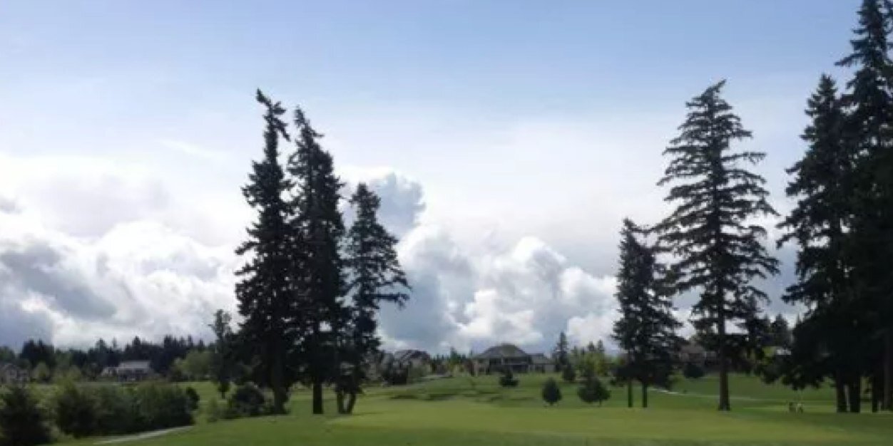 CarterCcullen's profile banner image