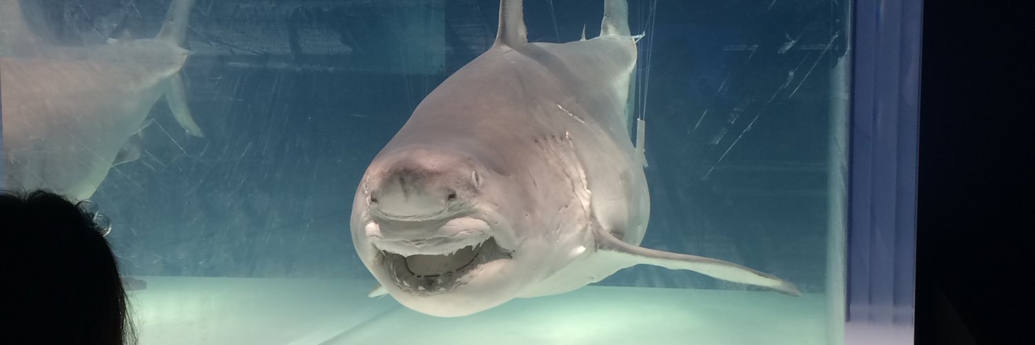 いいづか　あや🐢📯 banner