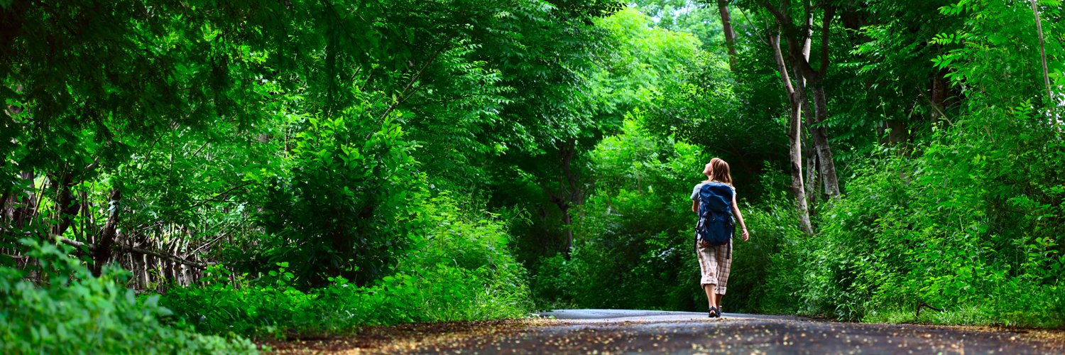 Patica Learning banner