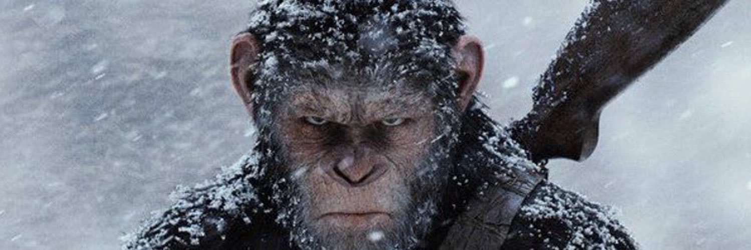 big_aloy's profile banner image