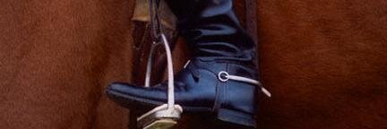 Katherine Trevelyan banner