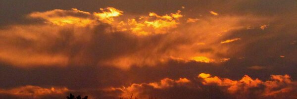 DhimanHT Profile Banner