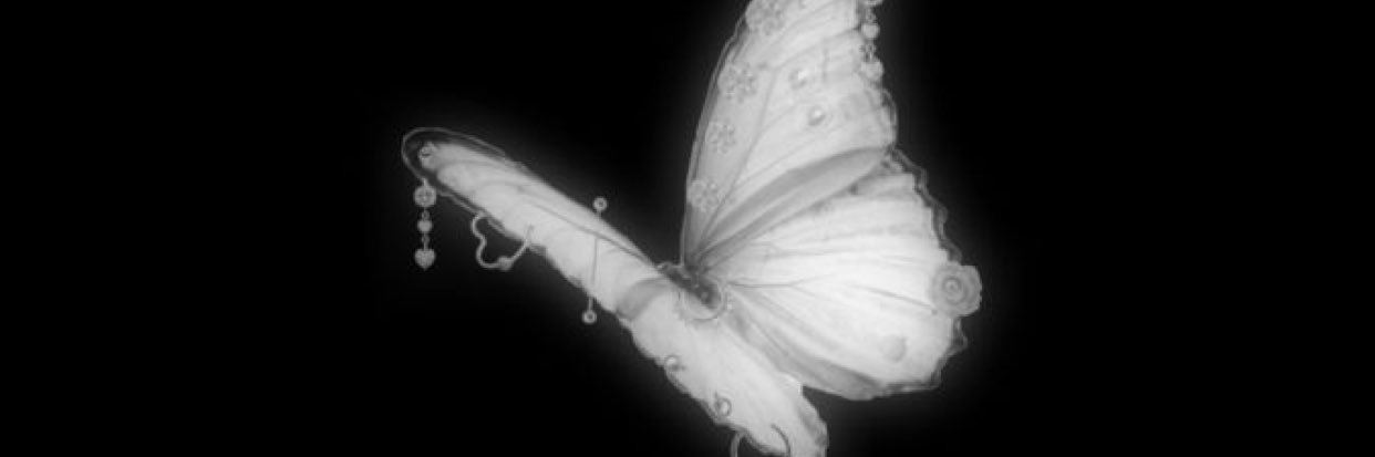 bbycha0's profile banner image