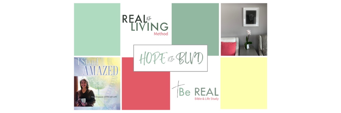 GeriCarlson's profile banner image