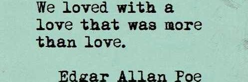 Abigale805's profile banner image