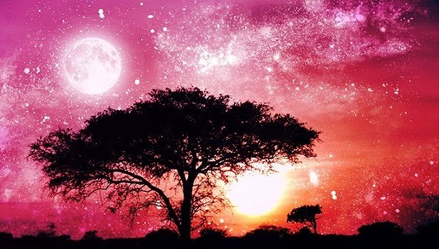 Juli62910836's profile banner image