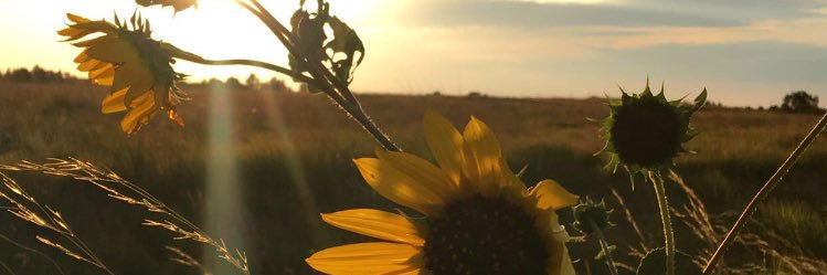K_madi_'s profile banner image