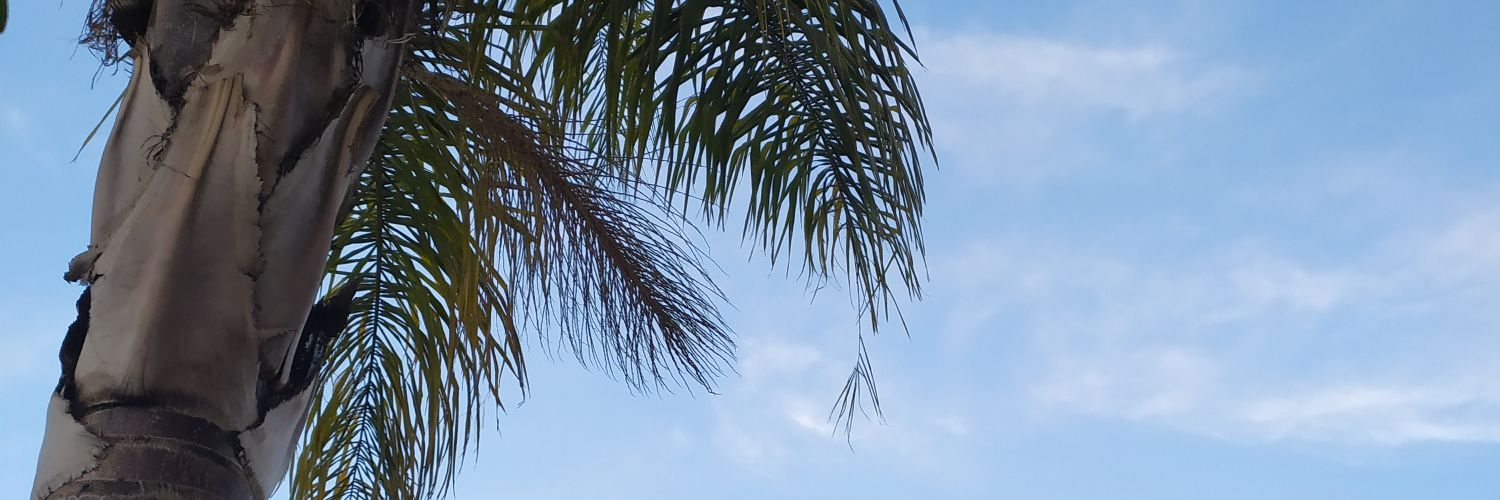 elis_lida's profile banner image