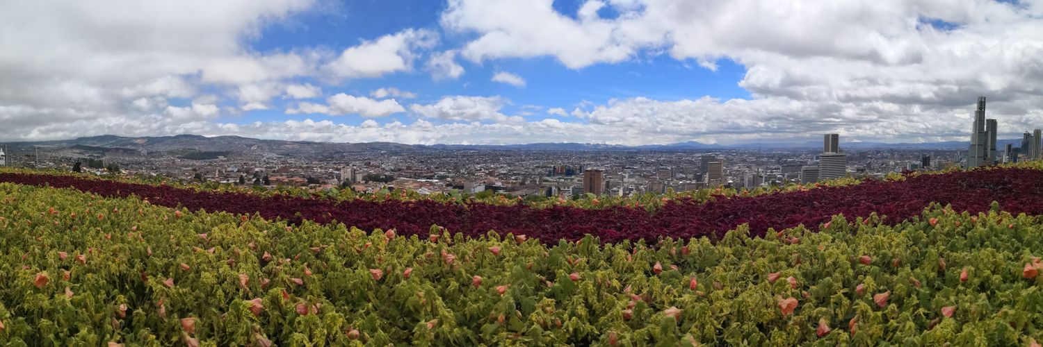 MariaAnGiraldo's profile banner image
