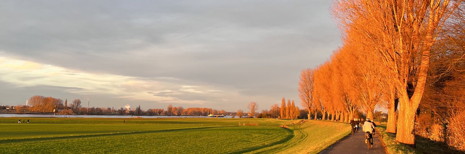 dogfriedwart's profile banner image