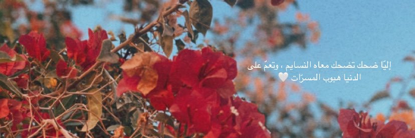 f_aziz0's profile banner image