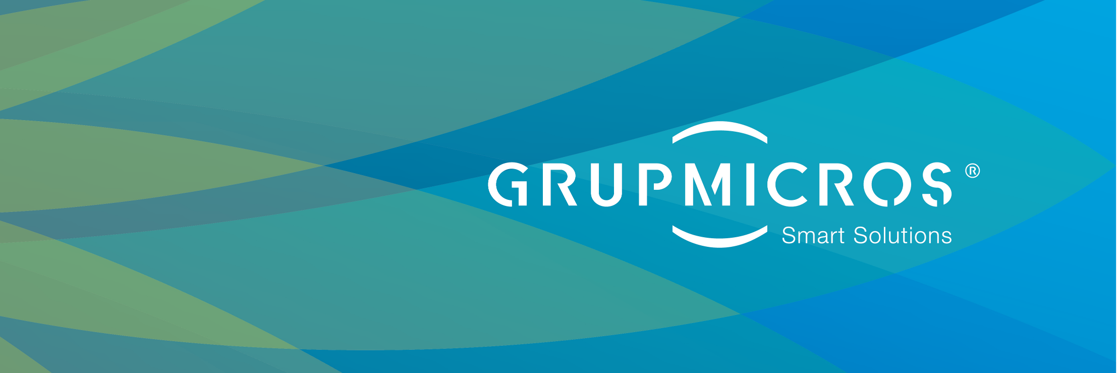 GrupMicros's profile banner image