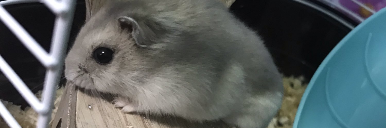 ままこ banner