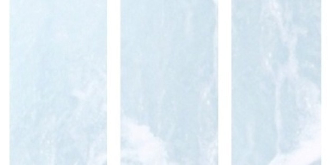 judithallgdr's profile banner image