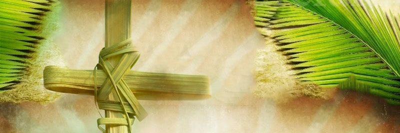peque196817's profile banner image