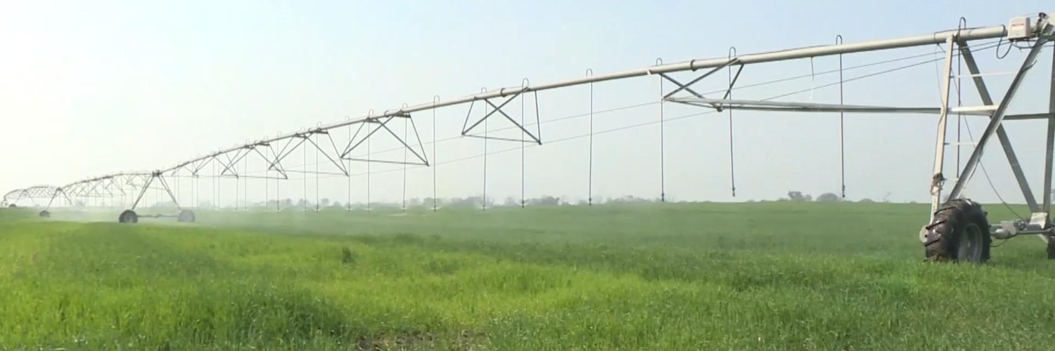 National Seeds Corporation Limited banner