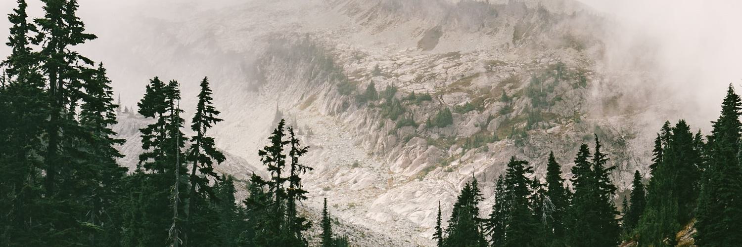 マーヒー🌱のんびりブロガー banner