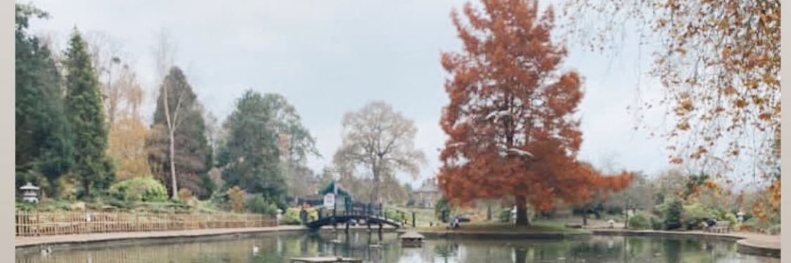 KatherineSxx's profile banner image